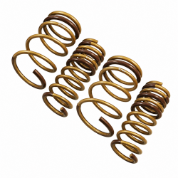 Tein 03-07 Accord S-Tech Lowering Springs